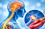 Motor Neuron Disease